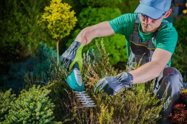 landscaping services Munsey Park